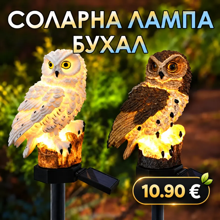 solarna-lampa-buhal-IMAGE05 Соларна лампа БУХАЛ - Image 1